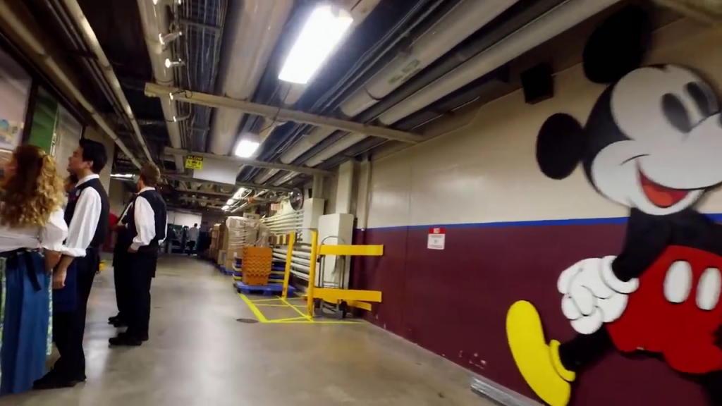 The not so Secret Tunnels of Magic Kingdom Pins Across the World